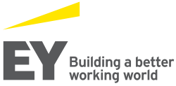 EY_logo (for both Global and Ireland).png